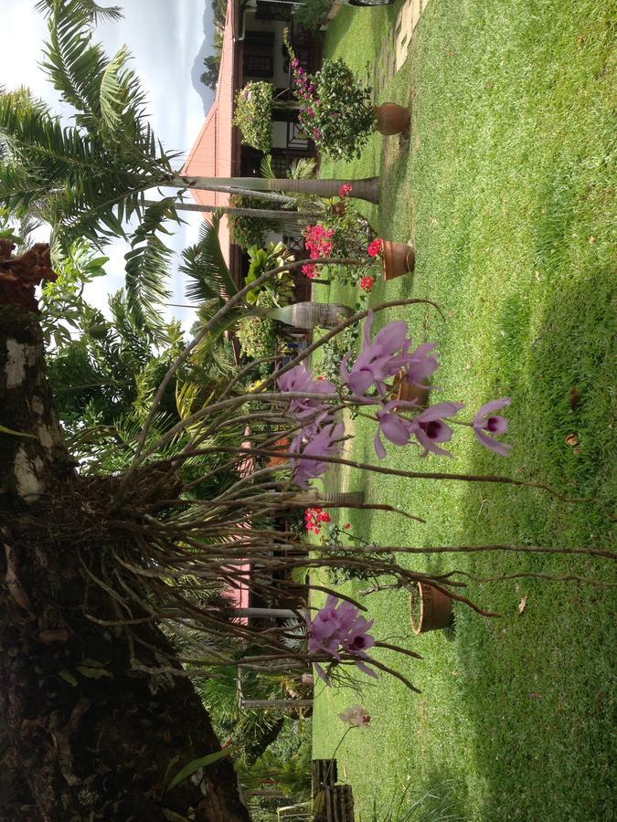 Le Bungalow Des Bougainvilliers Ducos Eksteriør bilde